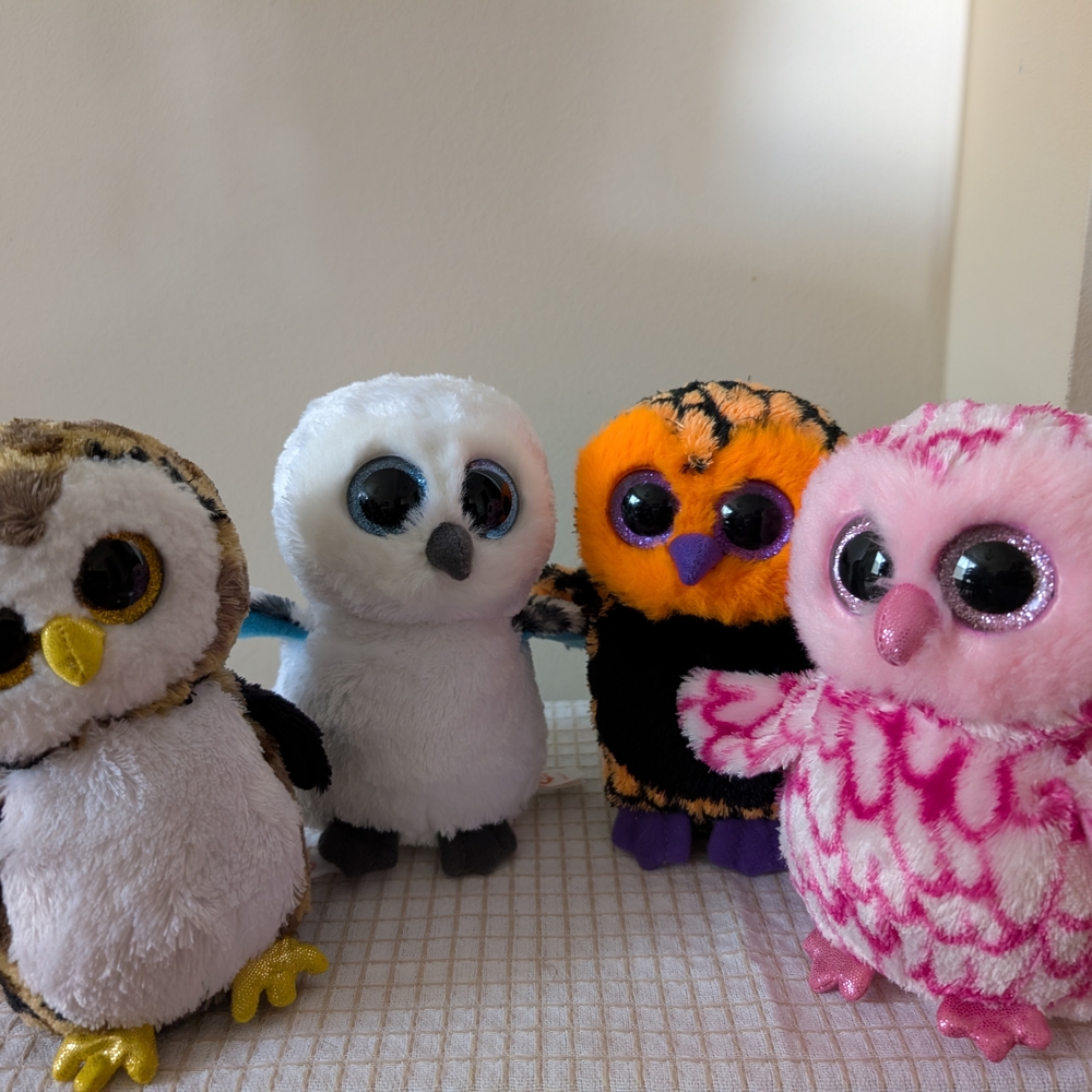 Lot of 4 Ty Beanie Boo Owl Stuffed Plushes 6"- Owliver,  Spells, Haunt & Pinky